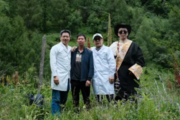 Field investigation of wild plant resources