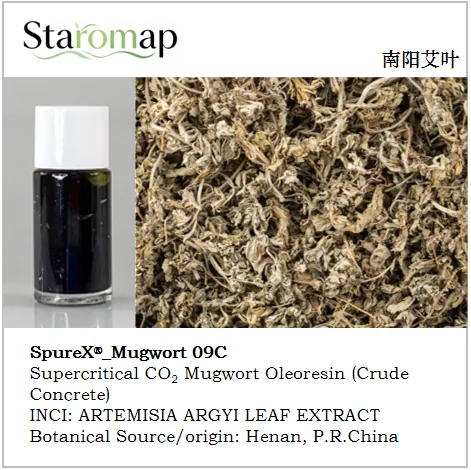 Angelica 06C